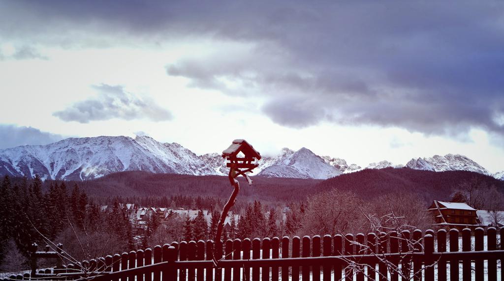 Bed and Breakfast Zwijaczowka Zakopane Exterior foto
