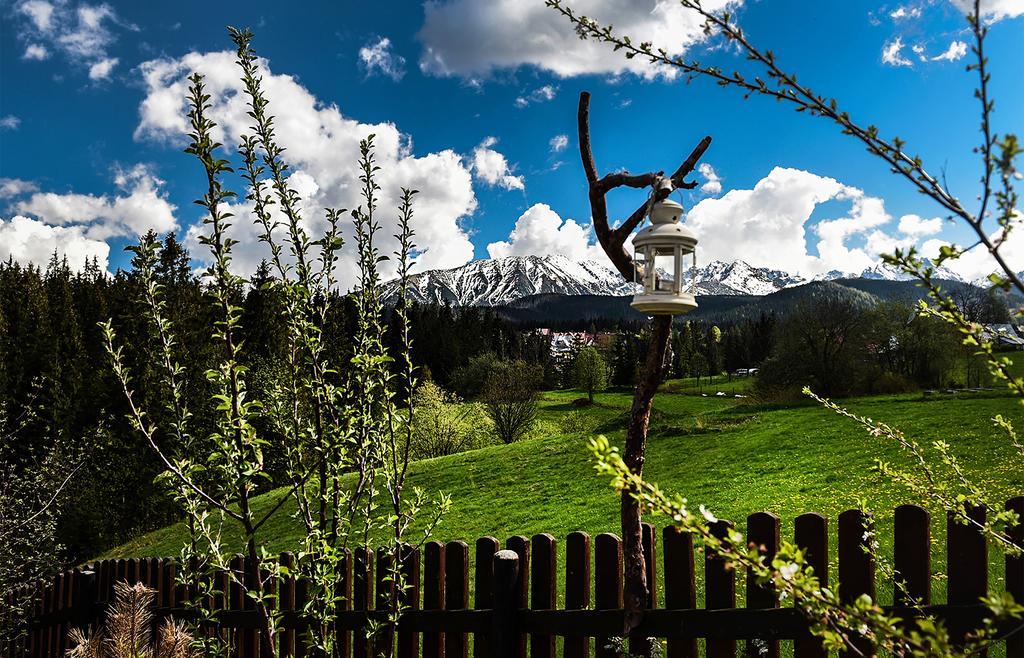 Bed and Breakfast Zwijaczowka Zakopane Exterior foto